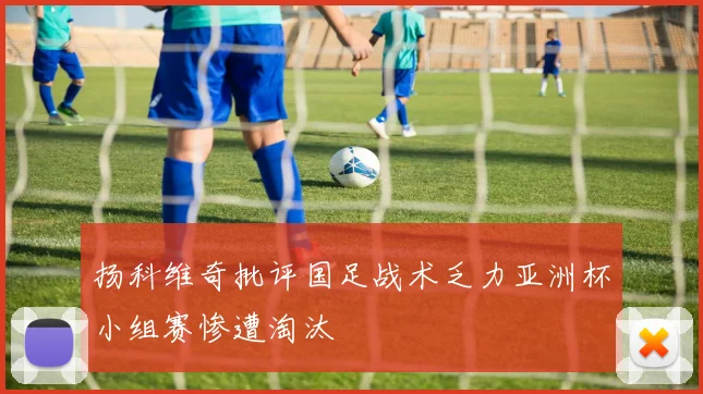 扬科维奇批评国足战术乏力亚洲杯小组赛惨遭淘汰